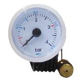 Манометр FERROLI GROUP