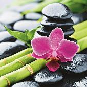 02-19 BRIMIX Шторка в ванную комнату фотопечать - БАМБУК С ЦВЕТКОМ