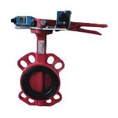 Затвор дисковый поворотный чугун FBV-A Ду300 Ру16 EPDM с конц. выключ Benarmo