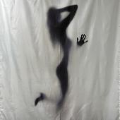 02-27 BRIMIX Шторка в ванную комнату фотопечать - ТЕНЬ