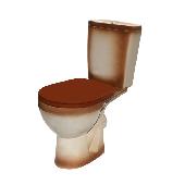 Унитаз-компакт Рио коричневый (универс.вып., нижн.подв., сид, 2-кн.арм.) Киров