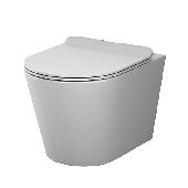 Унитаз подвесной Sunny FlashClean 49см + сиденье микролифт C85C1701SC AM.PM