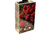 Газовый проточный водонагреватель WERTRUS 10EG BERRY