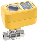 Кран  с электроприводом  Neptun Profi 220V  3/4" (4)